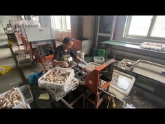 ODM Brass Gas Pipe Shut Off Valve personalizado com cor azul do cabo